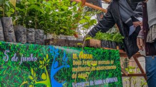 Orientações ambientais e distribuição de mudas acontece na Praça Matriz
