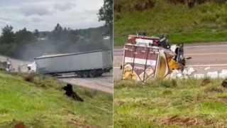 Acidente envolvendo caminhões deixa dois feridos na BR-290 em Eldorado do Sul