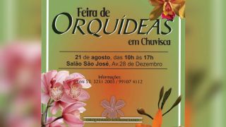 Feira de Orquídeas irá acontecer em Chuvisca