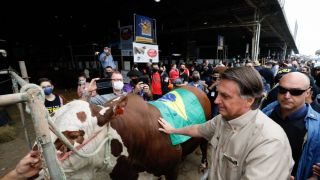 Bolsonaro visita a Expointer nesta sexta-feira