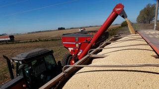 Soja foi o produto mais exportado pelo Brasil nos primeiros meses de 2022