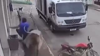 Boi ataca homem "sem motivos" 