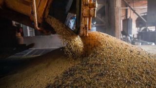 Valor da produção agrícola bate recorde no Brasil