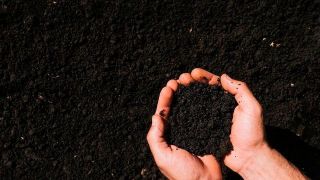 Em 2022, desembolso com fertilizantes já o maior da história