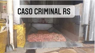 Polícia investiga morte em frigorífico, restos humanos em meio à dejetos de carne