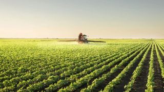 Índice de Confiança do Agronegócio brasileiro tem melhor resultado trimestral