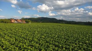 São Lourenço do Sul sedia a abertura da COLHEITA 2022 