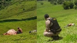 Polícia mata ladrão de gado a tiros, imagens fortes