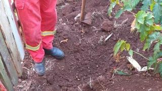 Idoso de 79 anos é condenado por matar mulher com golpe de martelo no interior do Rio Grande do Sul