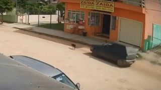 Homem atropela cachorro na Vila Nova e foge sem prestar socorro