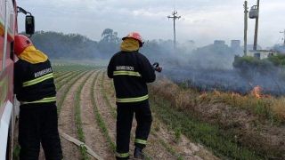Bombeiros combatem incêndio em área de mata na localidade de Capivaras, em Tapes