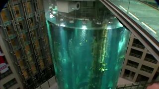 Aquário gigante explode em Berlim, na Alemanha, e espalha 1.500 peixes exóticos em hotel