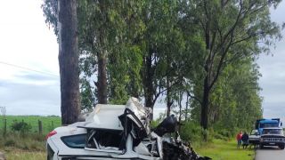 Motorista colide veículo contra árvore na BR-116