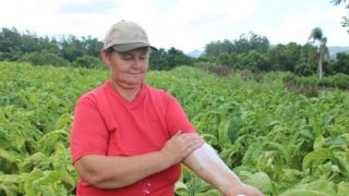 Produtores rurais do município podem retirar gratuitamente protetor solar como forma de combate ao câncer de pele