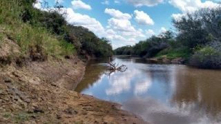 Combate aos efeitos da estiagem é tema de reunião entre governo gaúcho e Federação dos Trabalhadores na Agricultura