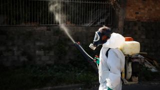 Falta inseticida para combater o mosquito Aedes aegypti no Brasil