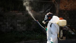 Falta inseticida para combater o mosquito Aedes aegypti no Brasil