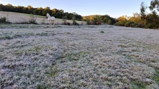 Com frio de 2°C, Dom Feliciano tem primeira geada do ano