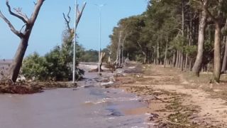 Orla de Arambaré é interditada por risco de queda de árvores