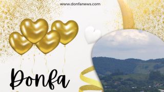 Donfa News 05 anos