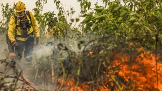 Brasil já registou mais de 154 mil focos de calor este ano