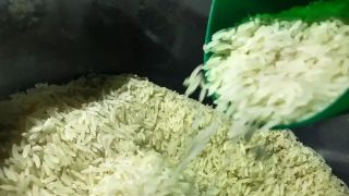 Companhia Nacional de Abastecimento vai doar sementes de arroz para agricultores familiares do Rio Grande do Sul