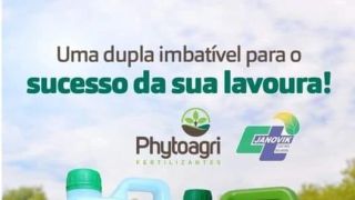 🍃 CT JANOVIK 🍃