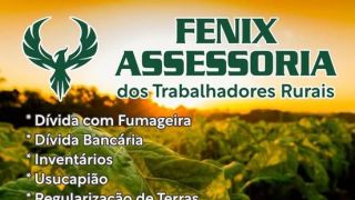 🌟 FENIX ASSESSORIA 🌟