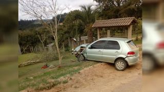 Condutor perde o controle do veículo e bate em árvore 