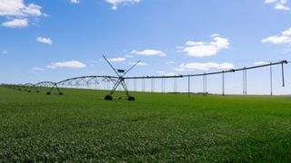 Governo promete programa de irrigação que permitiria 3 safras por ano