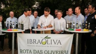 Eduardo Leite sanciona lei que institui Rota das Oliveiras no Estado