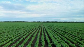 Manejo correto da terra evita contaminação de rios por agrotóxicos