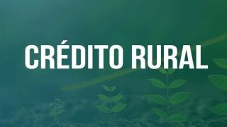 Governo quer bloquear “venda casada” nas operações de crédito rural