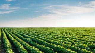 Produtores rurais poderão refinanciar dívidas com juros de 8% ao ano
