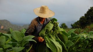 Previdência: Saiba como fica a aposentadoria rural após aprovação do Senado