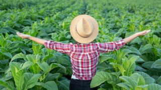 Duas gaúchas se destacam na produção de tabaco