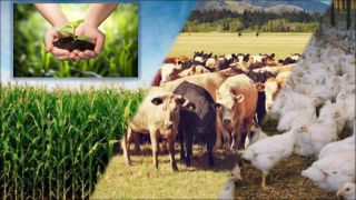 Jovens Rurais: “O campo se tornou um lugar melhor de se viver”