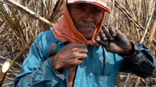 Aposentadoria: INSS deve reconhecer tempo de serviço rural a partir dos 12 anos