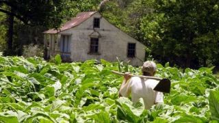 Governo promete mudar critério que tornou aposentadoria rural burocrática