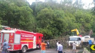 BR-116 tem bloqueio após queda de duas árvores em Caxias do Sul