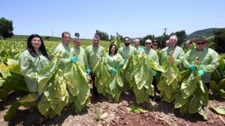 III Abertura Oficial da Colheita do Tabaco reúne 300 pessoas em Arroio do Tigre