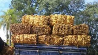 Roubo de cargas de tabaco teve aumento de 160% em 2019