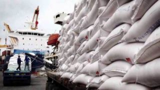 Federarroz comemora abertura de mercados para o arroz em 2019