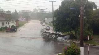 Chuva forte derruba árvores e poste quase cai, deixando a cidade sem luz em Chuvisca
