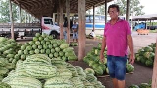 Estiagem afeta colheita e preço de hortifrutigranjeiros da Ceasa