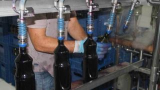 Vídeo: A produção de uva e suco em Sertão Santana