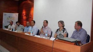 Arrozeiros miram mercado externo para ampliar competitividade do setor