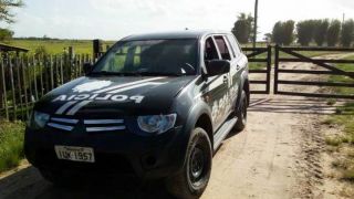 Decrab Camaquã inicia investigações sobre furtos abigeato em Tapes