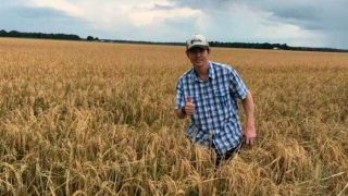 Produtor camaquense receberá homenagem durante Abertura da Colheita do Arroz