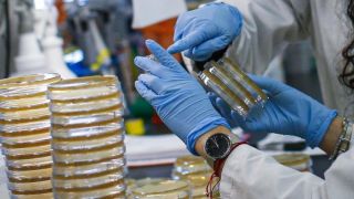 Pesquisadores brasileiros sequenciam genoma do coronavírus identificado no País